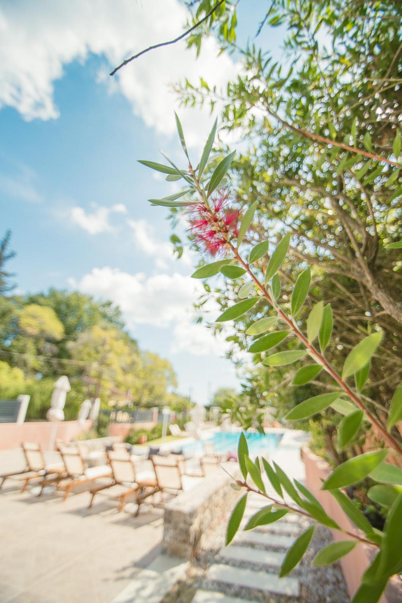 Dominoes Corfu Aparthotel Ipsos Exterior photo